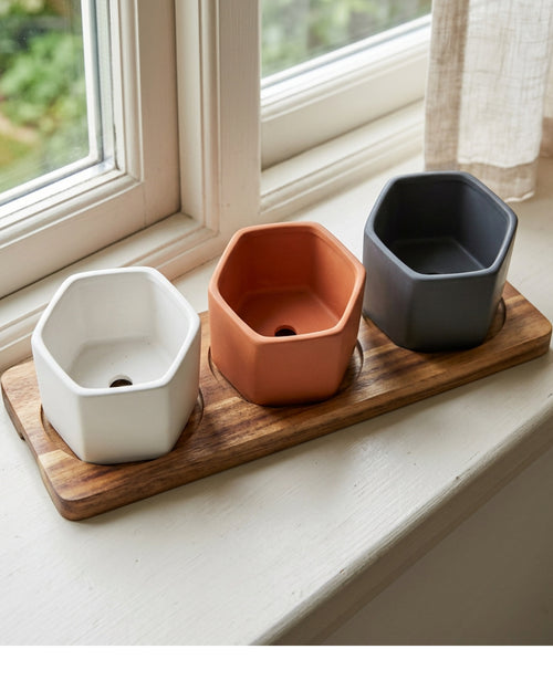 Wfbxw Hexagonal Mini Ceramic Planter Set of 3 with Acacia Tray - Lifestyle view