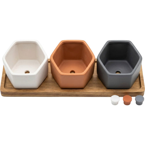 Wfbxw Hexagonal Mini Ceramic Planter Set of 3 with Acacia Tray - Product view