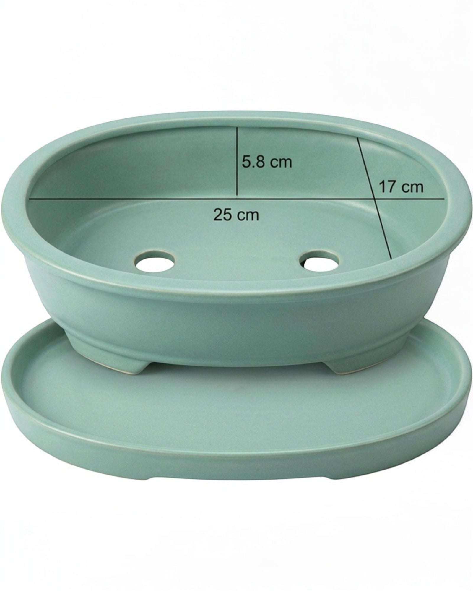 Wfbxw Oval Bonsai Ceramic Planter with Tray Seafoam - Detail view