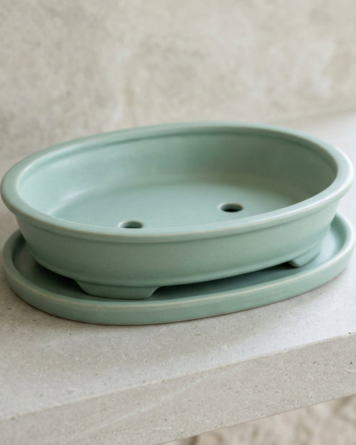 Wfbxw Oval Bonsai Ceramic Planter with Tray Seafoam - Lifestyle view