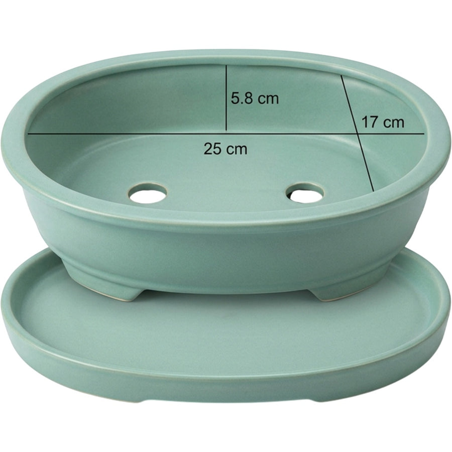 Wfbxw Oval Bonsai Ceramic Planter with Tray Seafoam